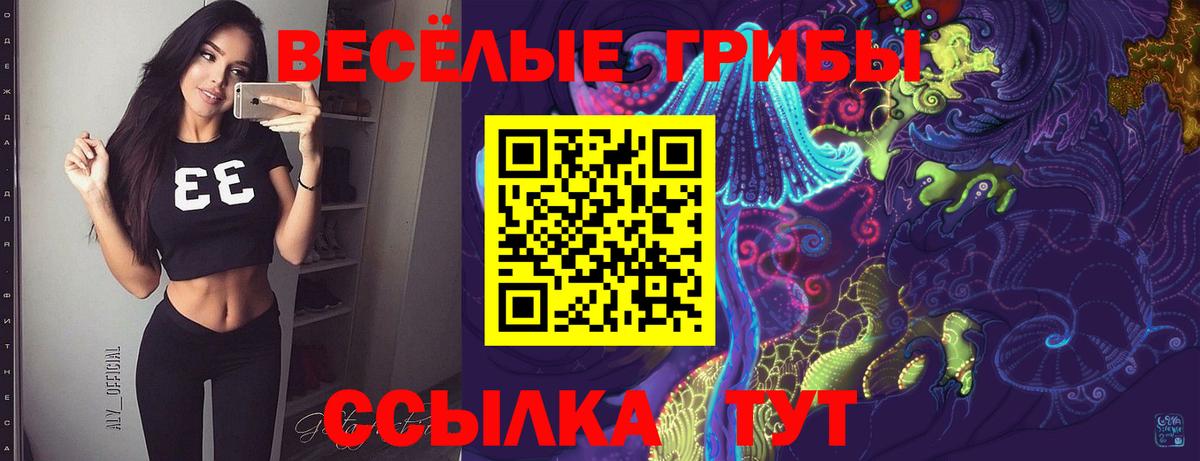 Гусь-Хрустальный  Галлюциногенные грибы Cubensis  Вход с VPN 